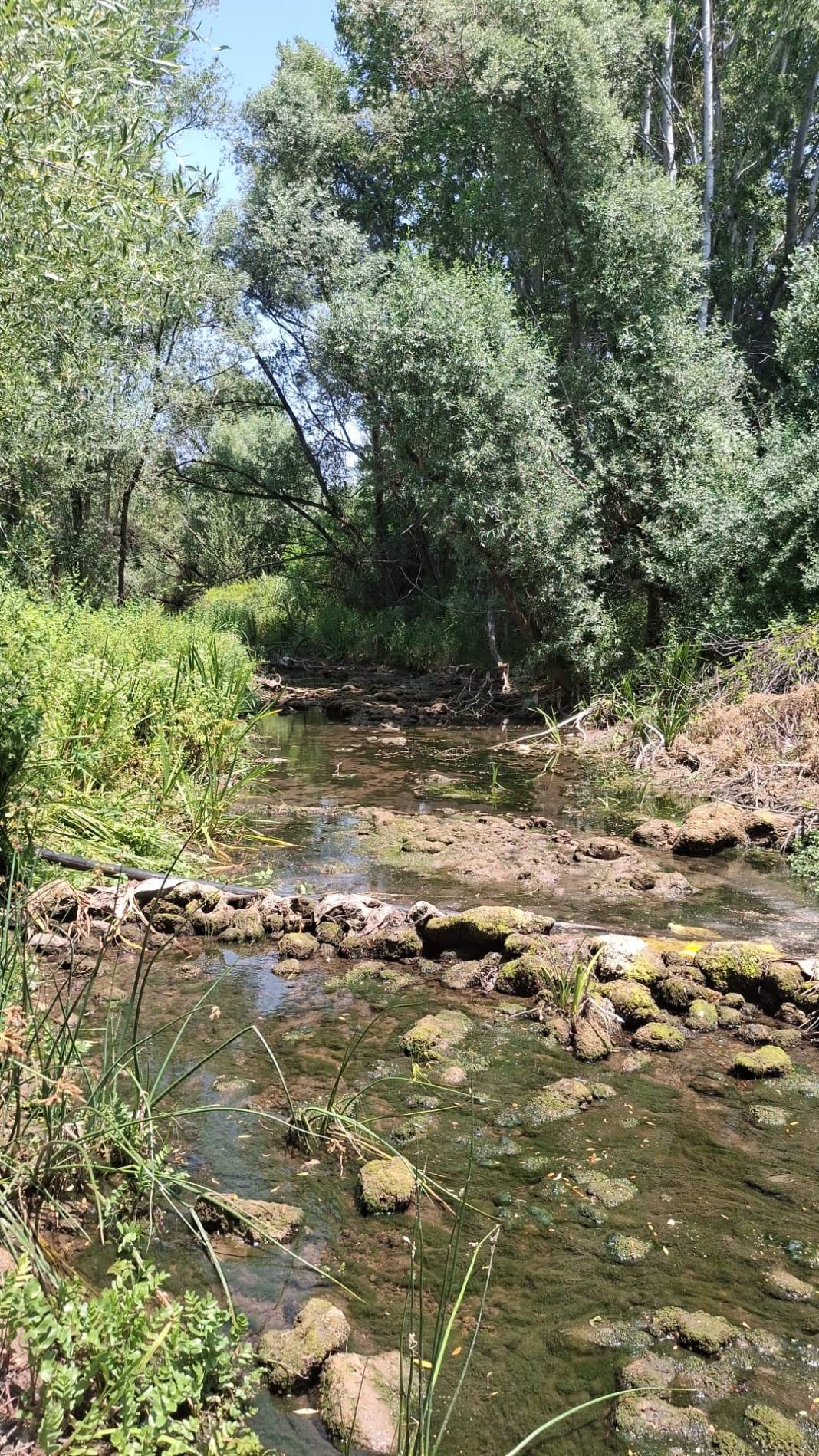 Beyşehir Gölü kuruyor. Gerçek manzara gün yüzüne çıktı 1