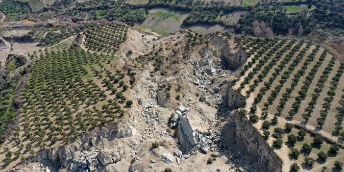 İkiye bölünen zeytinliğin bulunduğu bölge için kritik uyarı