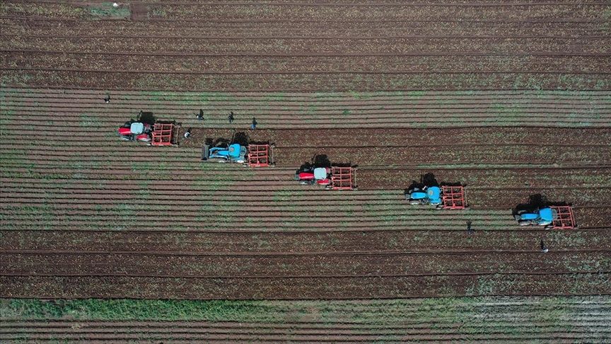 Tarımsal girdi fiyat endeksi arttı