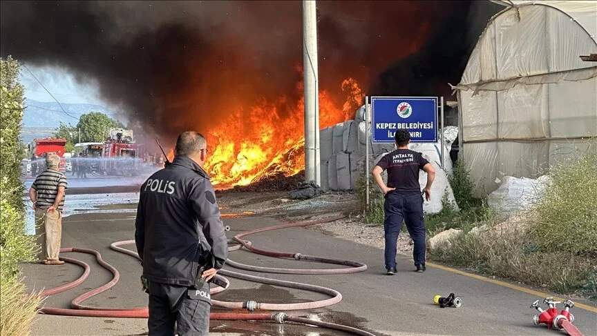 Geri dönüşüm deposunda çıkan yangın seralara sıçradı