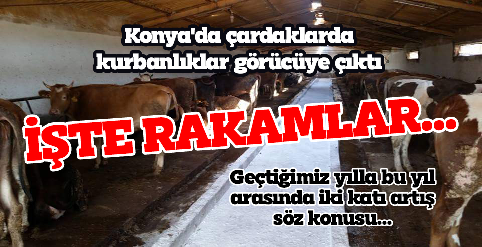 İŞTE RAKAMLAR...