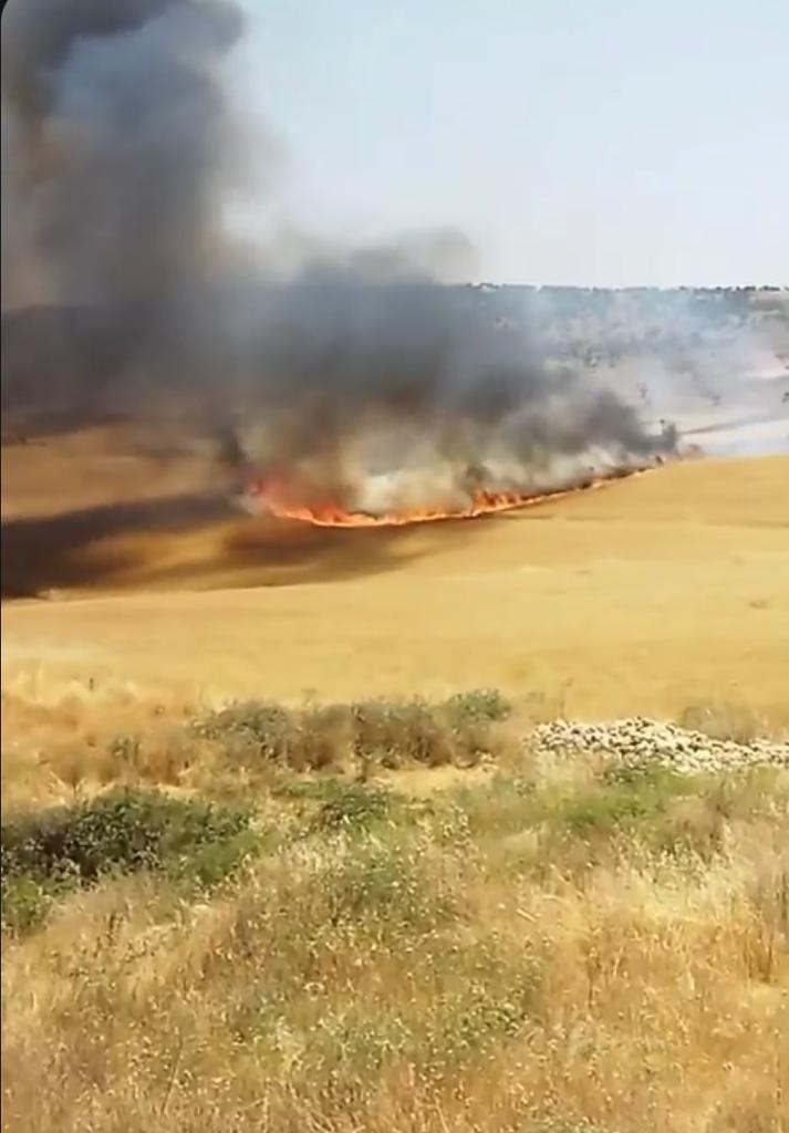 130 dönümlük buğday tarlası küle döndü