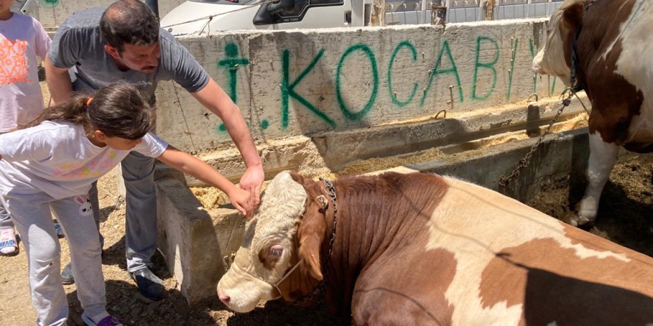 Konya'da kurban pazarlarına ilgi yoğun