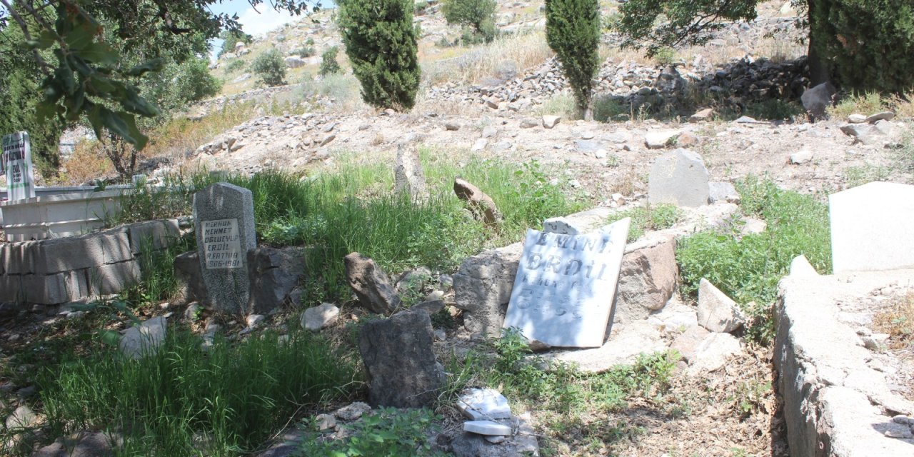 Konya'da bu mahallenin başı domuzlarla dertte