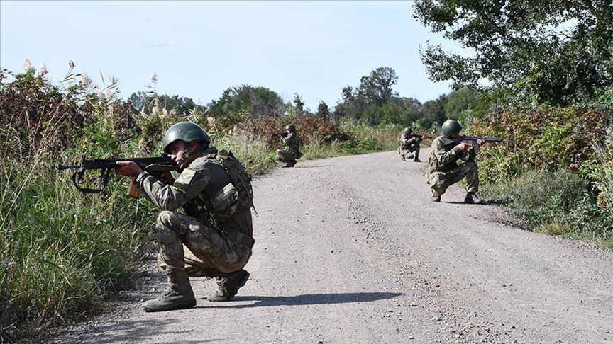 Yasa dışı yollarla yurda girmeye çalışan 1 PKK'lı terörist yakalandı