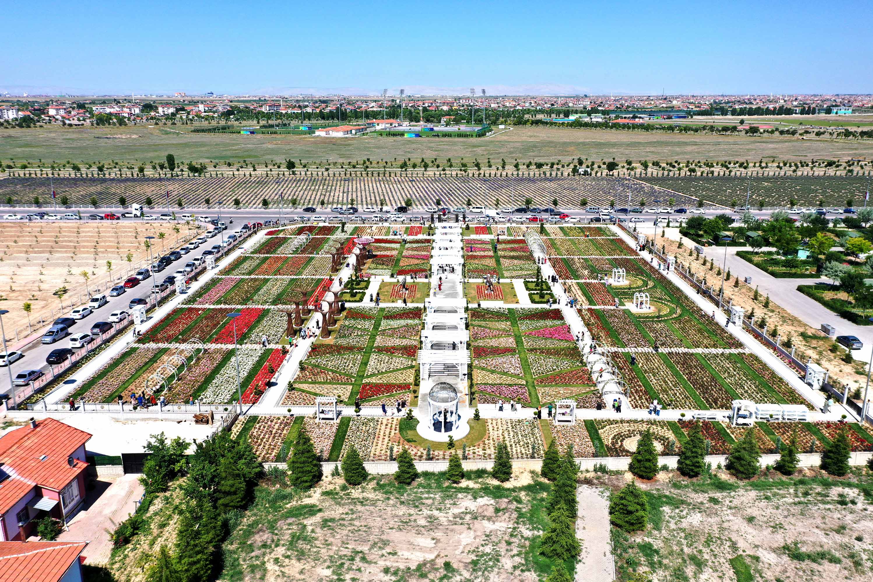 Karatay’ı lavantadan sonra gül kokusu da sardı