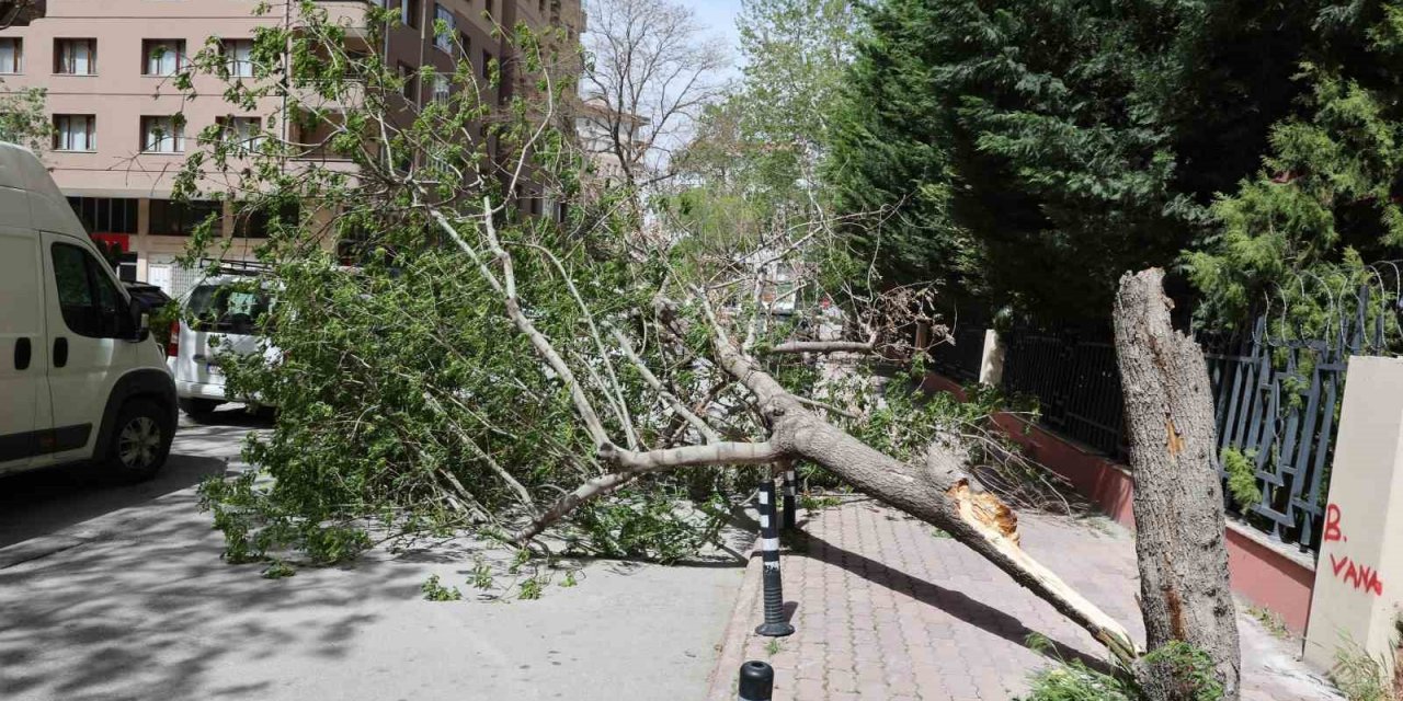 Konya’da fırtına çatıları uçurdu, ağaçları devirdi
