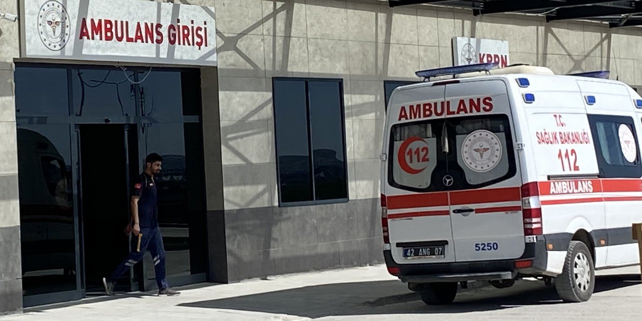 Konya'da mantar toplamak için çıkan şahıs hastanelik oldu