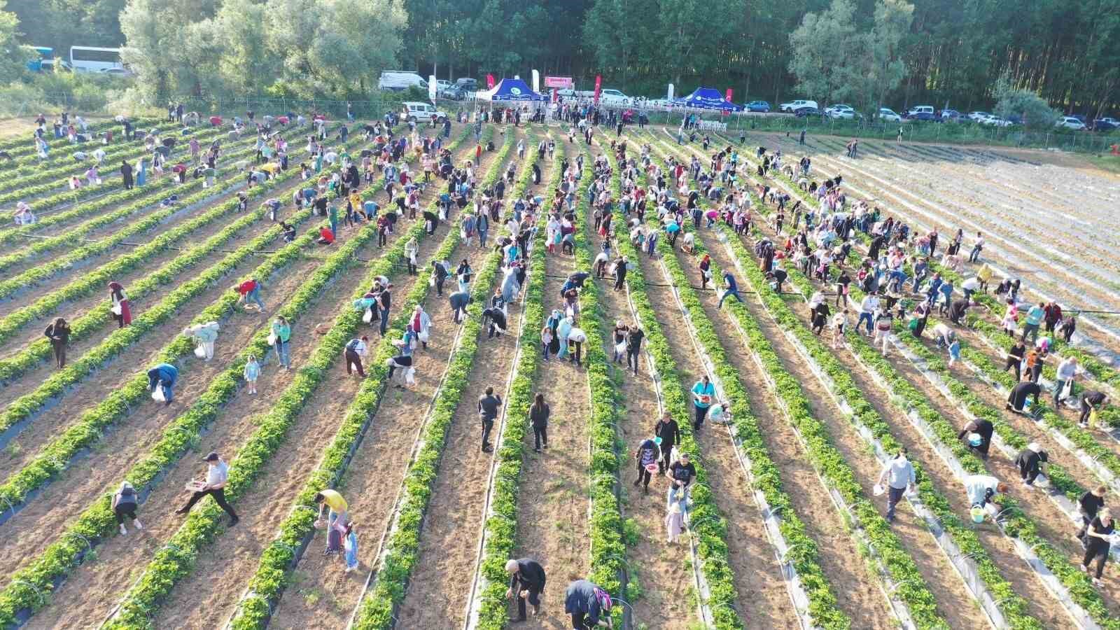 Hasadı yapılacaktı, belediyeye hırsızlık şoku