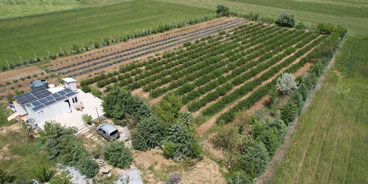 Konya'da yaşam mücadelesi: Kanserli eşi için ekti, iş sahibi oldu