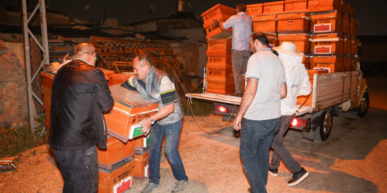 Konya'da üreticiler destekleniyor, doğal bal sofralara ulaşıyor