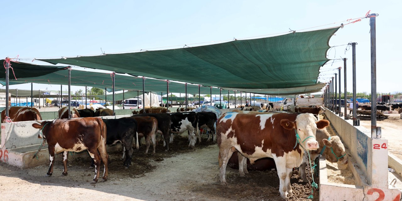 Konya bayrama hazırlanıyor! Selçuklu'da 18 nokta belirlendi