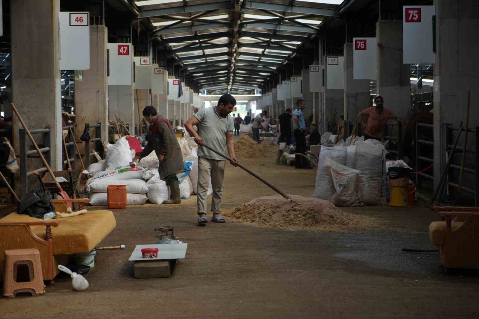 110 bin liralık kurbanlık 85 bin liraya kadar düştü