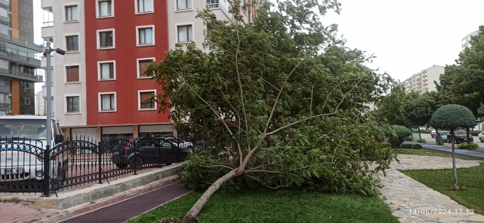 Konya'nın merkezindeki ağaçlar fırtınaya dayanamadı