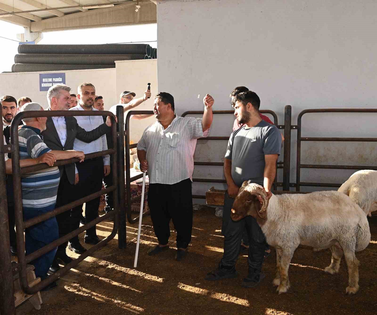 Deprem bölgesinde Kurban Bayramı heyecanı