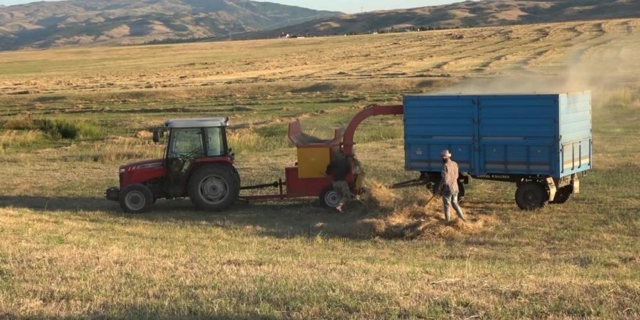 Çiftçiler dikkat! Patos tehlikeyi beraberinde getiriyor