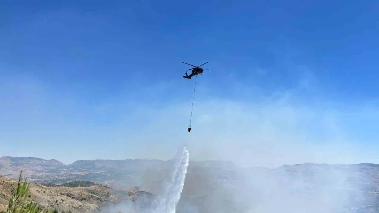 Çobanın çay ateşi ormana sıçradı