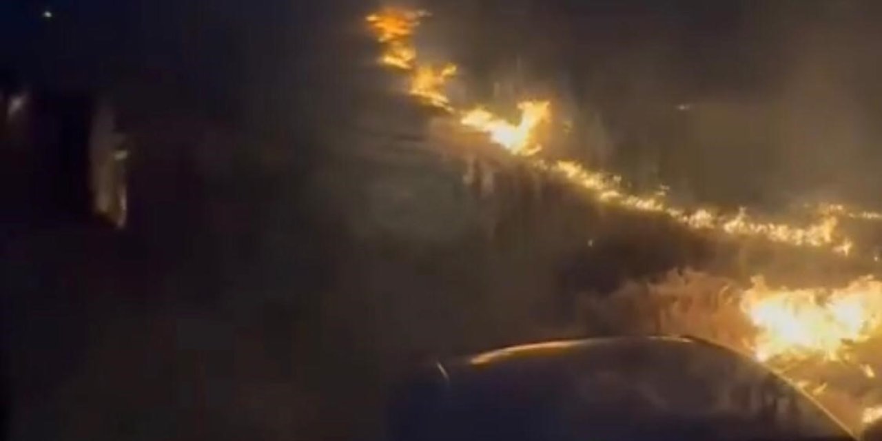 Konya'da kuşlar yangına neden oldu
