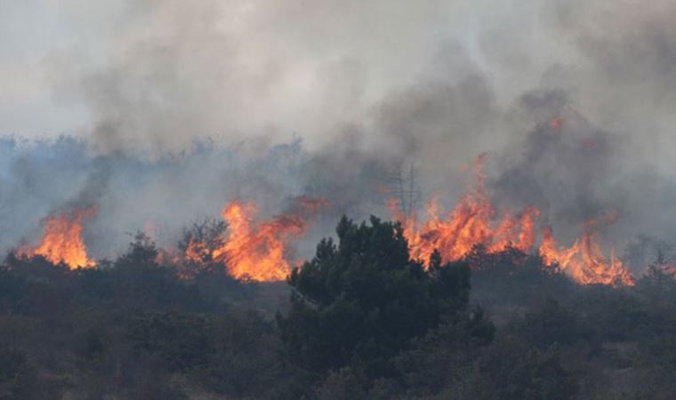 Orman yangınına, havadan ve karadan müdahale ediliyor