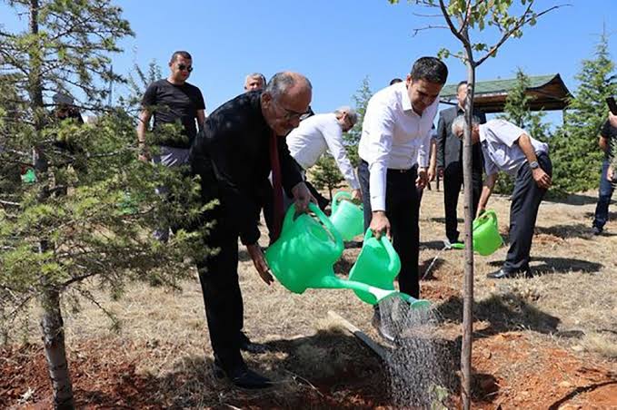 Beyşehir’de 15 Temmuz etinliklerinde şehitler için fidan dikildi