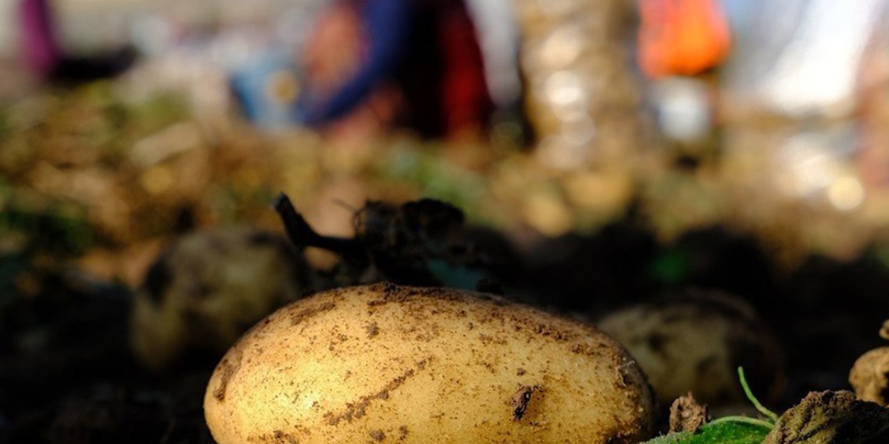 Patates tüketmesi sakıncalı olan kişiler. Bu hastalıklarınız varsa yememelisiniz