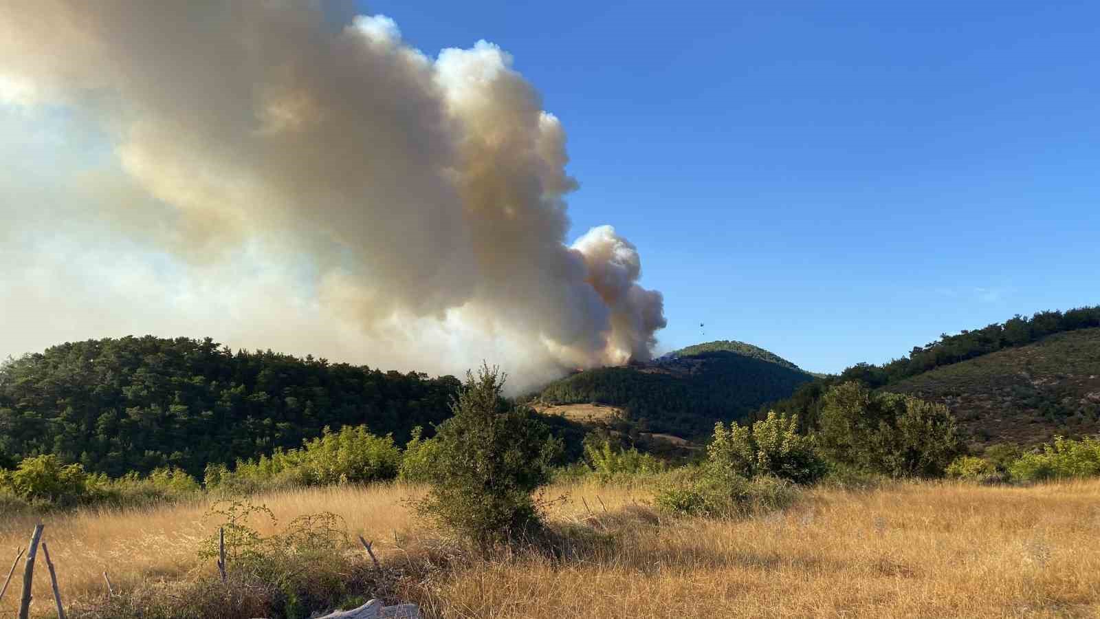 Ciğerlerimiz yanıyor, müdahale sürüyor