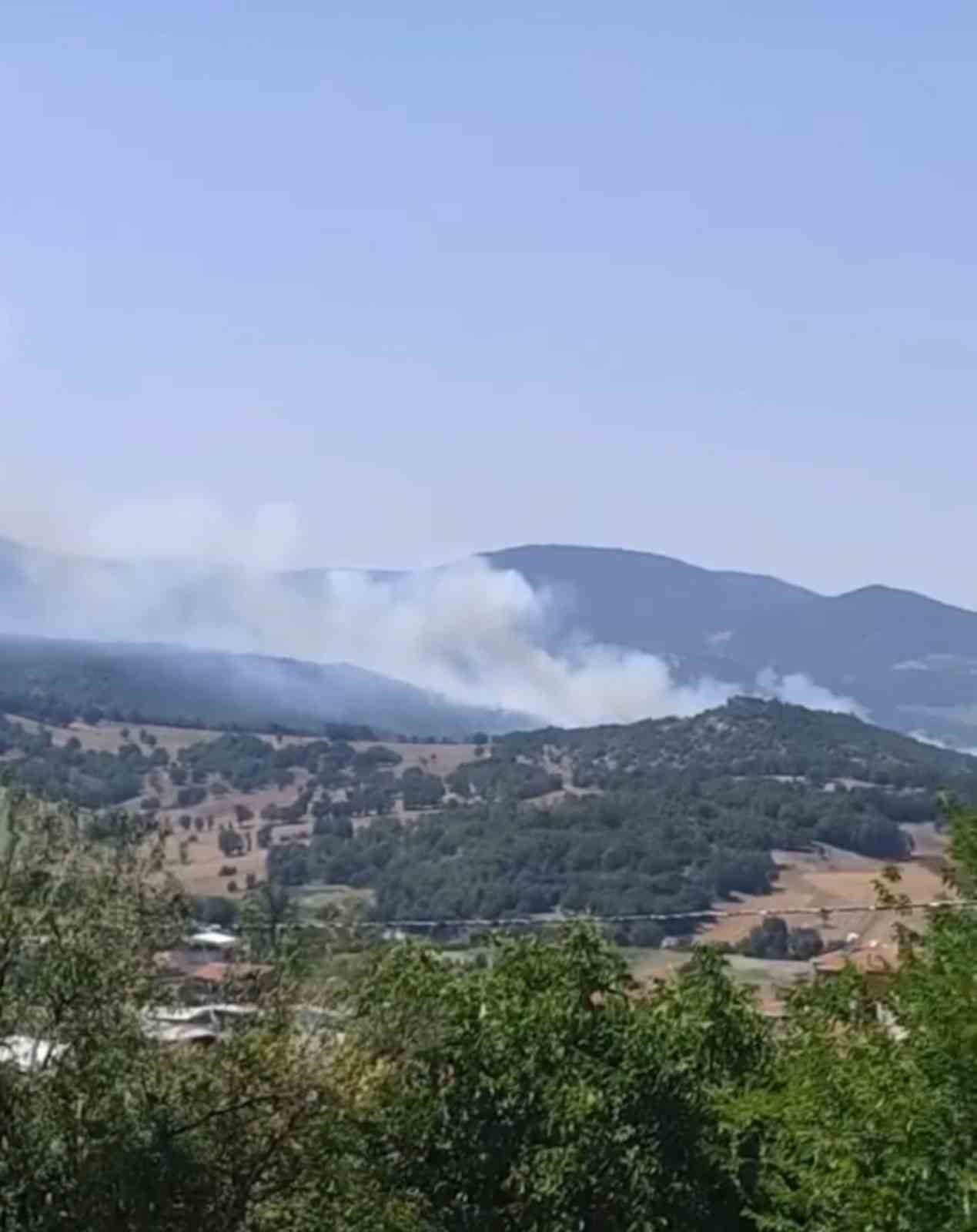 Orman yangını çıktı, havadan ve karadan müdahaleler başladı