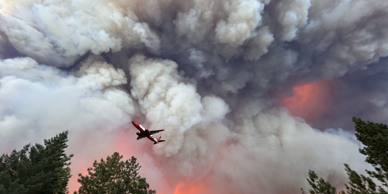 En büyük orman yangını: 145 bin dönümden fazla alan kül oldu