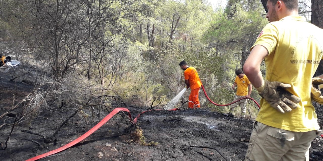 Kemer'de çıkan orman yangını kontrol altına alındı