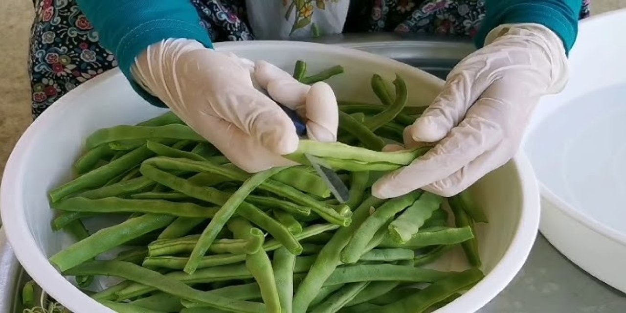 Kışlık taze fasulye böyle saklanırsa asla çürüme oluşmuyor! Evde yapması çok kolay