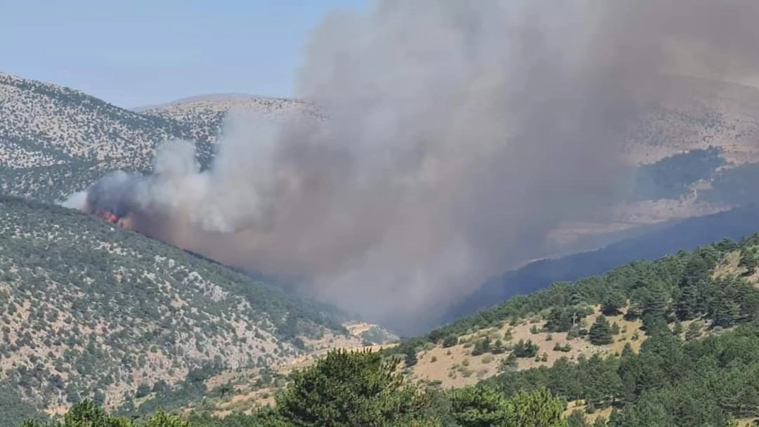 Konya'da çıkan orman yangınında son durum ne?