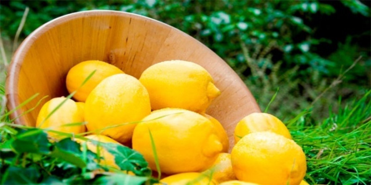 Uyanır uyanmaz neden limonlu içilmeli? Limonlu suyun sağladığı 10 müthiş fayda