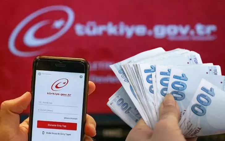 E-Devlet ücretli mi olacak? İşte katılım payı alınacak hizmetler