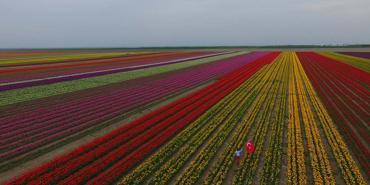 Hollanda değil Konya!