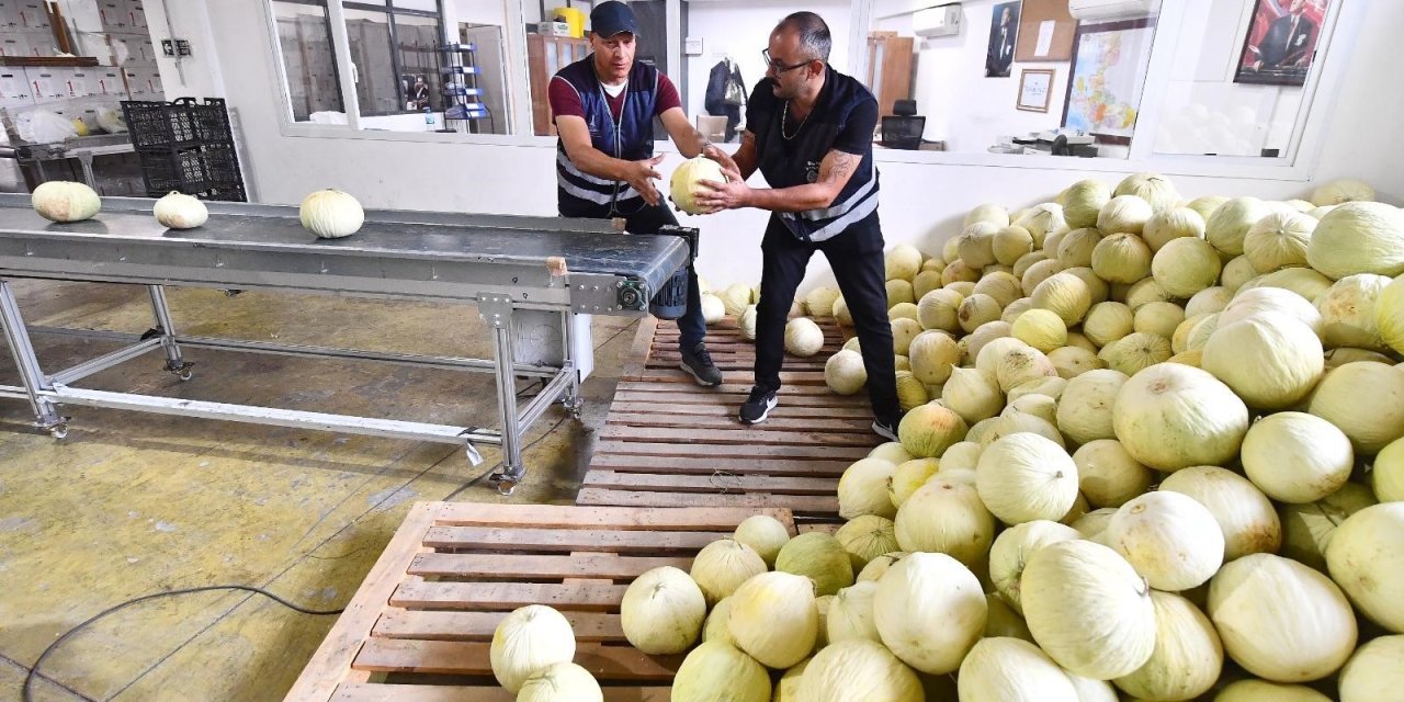 Tarlada kalan 300 ton ürününü vatandaşa dağıttı