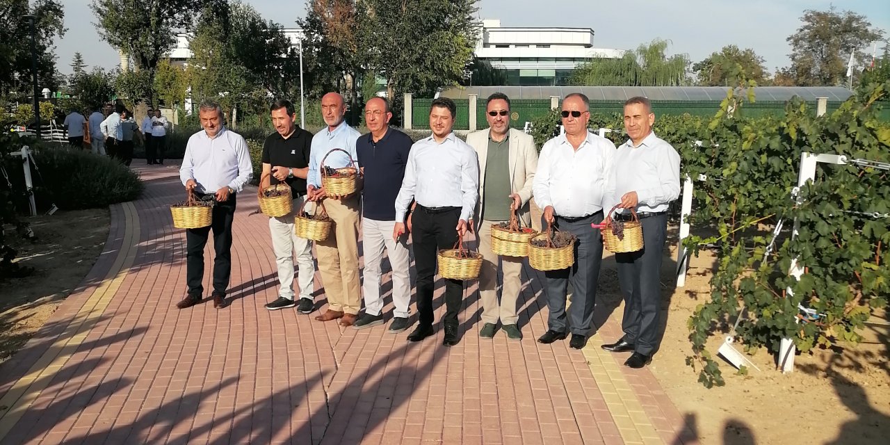 Konya'da gelenek bozulmadı! Bağ bozuldu