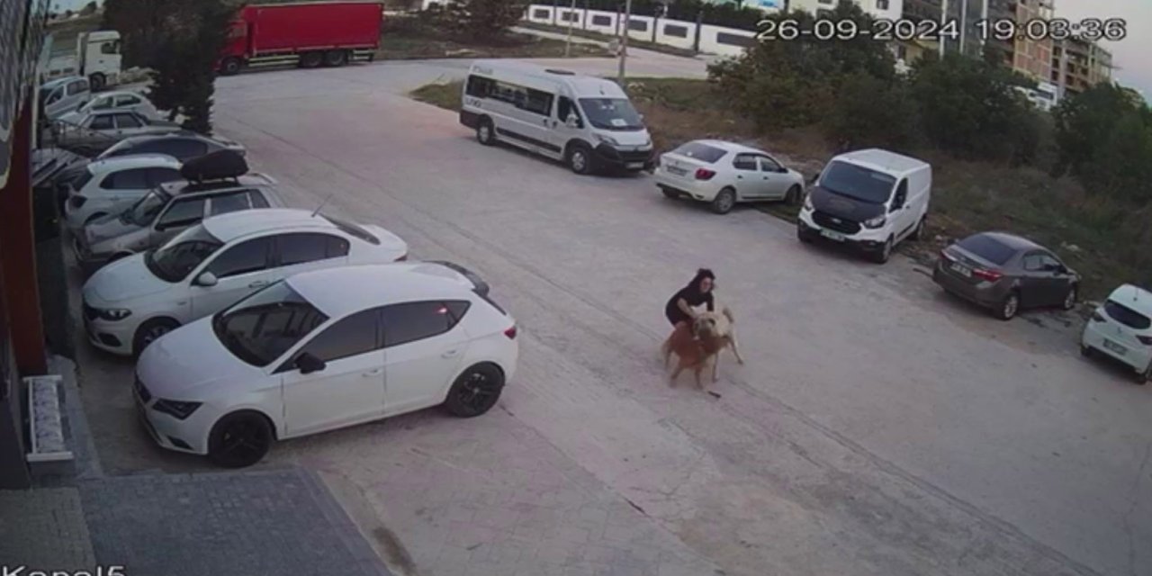 Köpeğini korumak için kendini siper etti