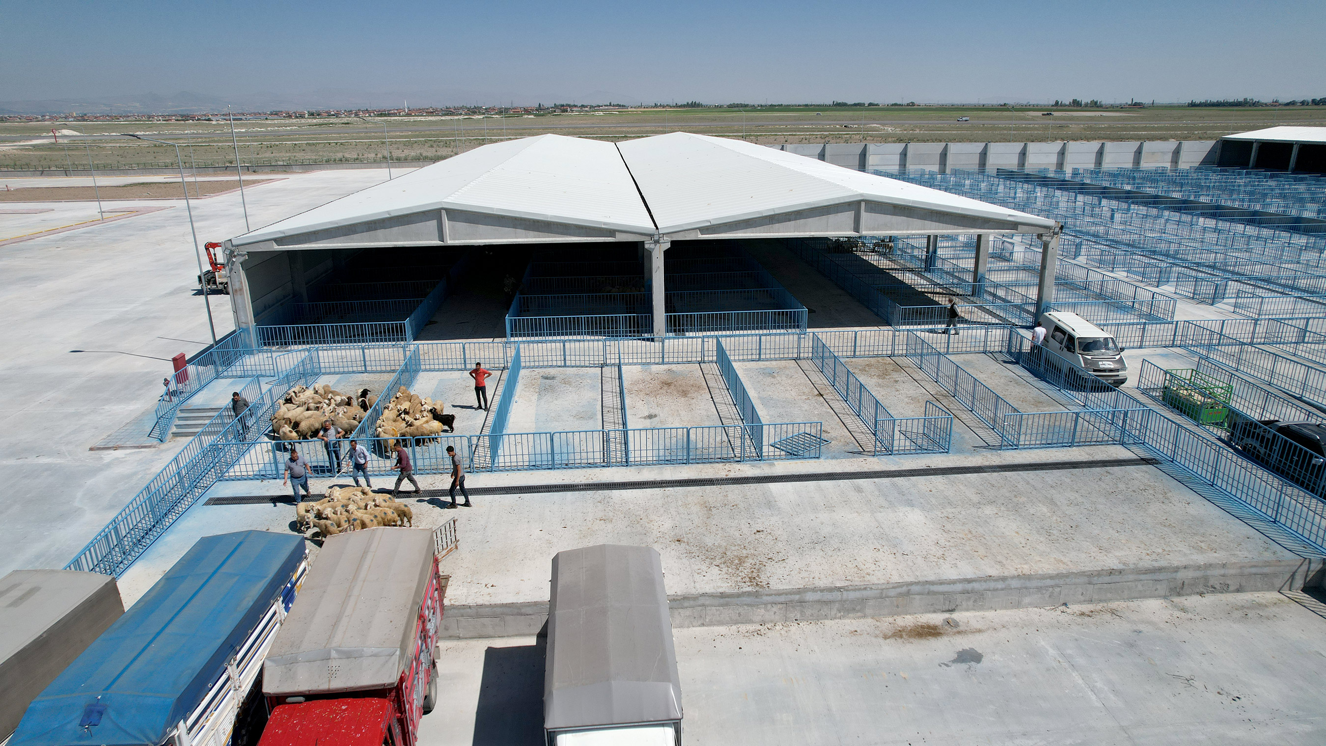 Konya'daki hayvan pazarına yeni teknoloji geliyor. Enerji ücretsiz olacak