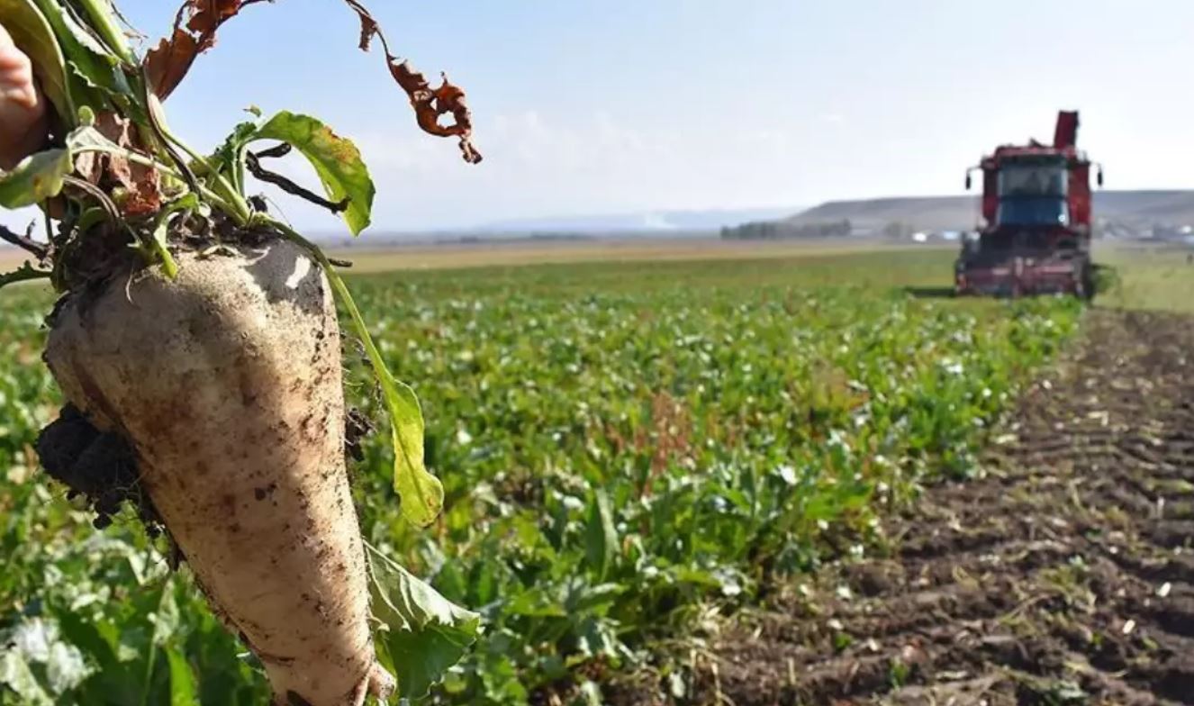 Karapınar'da pancar sezonuna start verildi