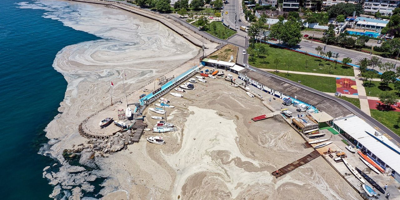 Marmara'da deniz salyası kabusu dönüyor