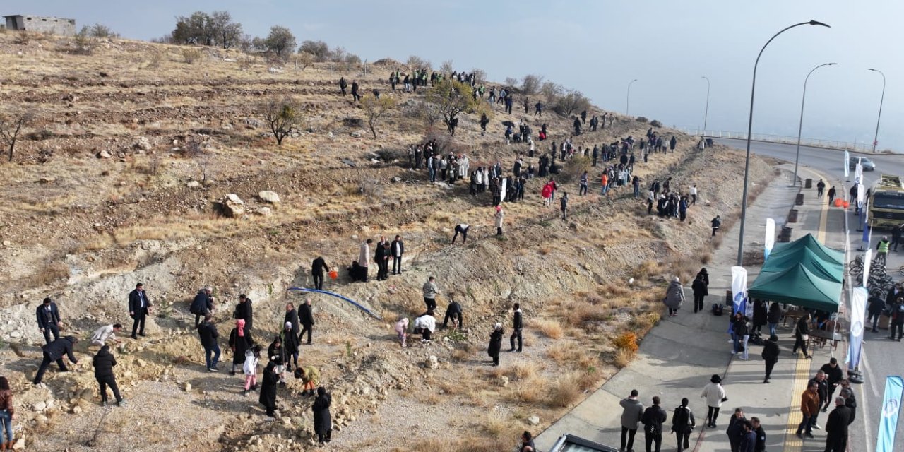 Konya'daki öğrenciler fidanları toprakla buluşturdu