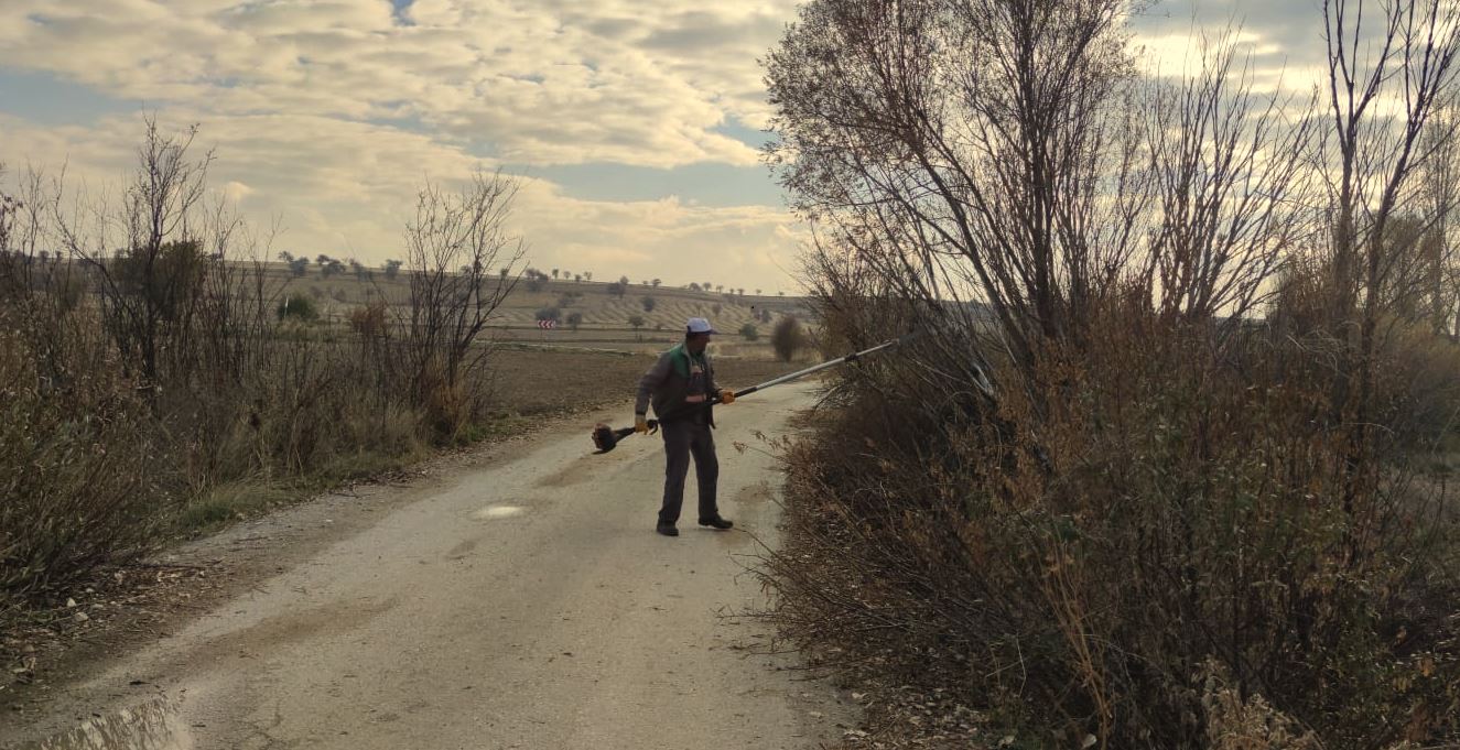 Konya'nın bu ilçesinde trafik güvenliği için ağaçlar budanıyor