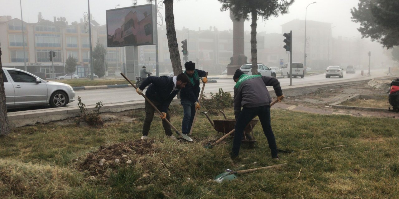 Beyşehir’de ağaçlandırma çalışmaları devam ediyor