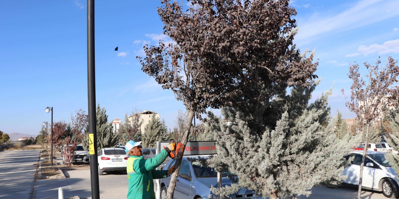 Konya'nın bu ilçesinde son bahar mesaisi sürüyor