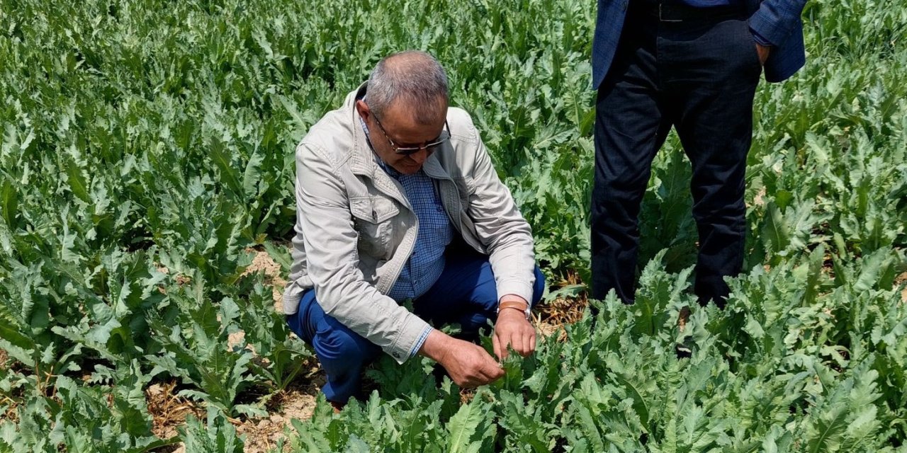 Konya’da kuraklık alarmı! Çiftçiler yağış bekliyor