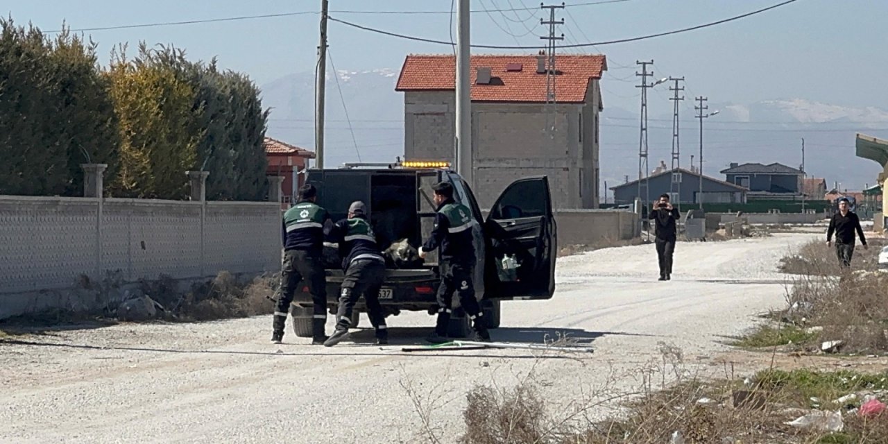 Türkiye'nin beklediği otopsi raporu çıktı. Konya'daki ölüme köpekler mi sebep oldu?