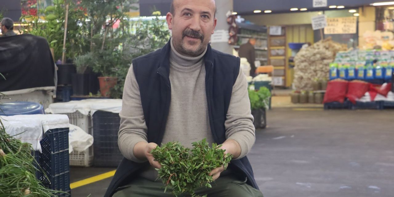 Adına türküler yakılan o otun kilosu 150 lira