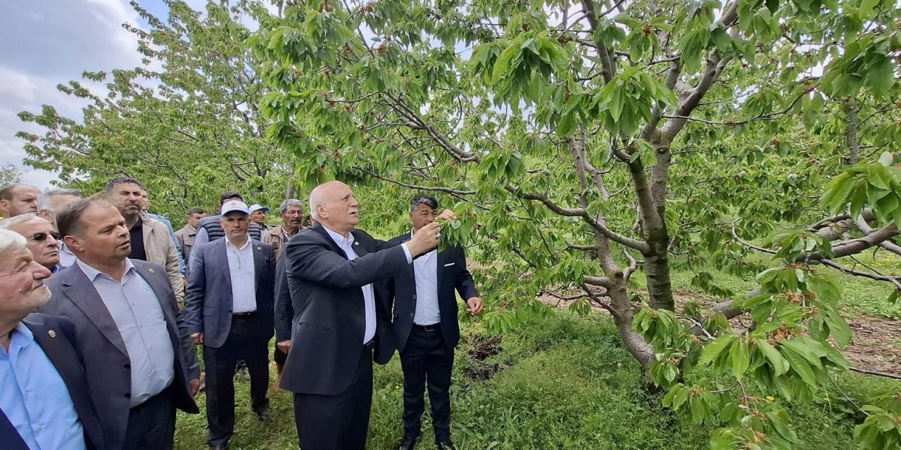 TZOB Başkanı Bayraktar, Akşehir'de zirai dondan etkilenen bahçeleri inceledi