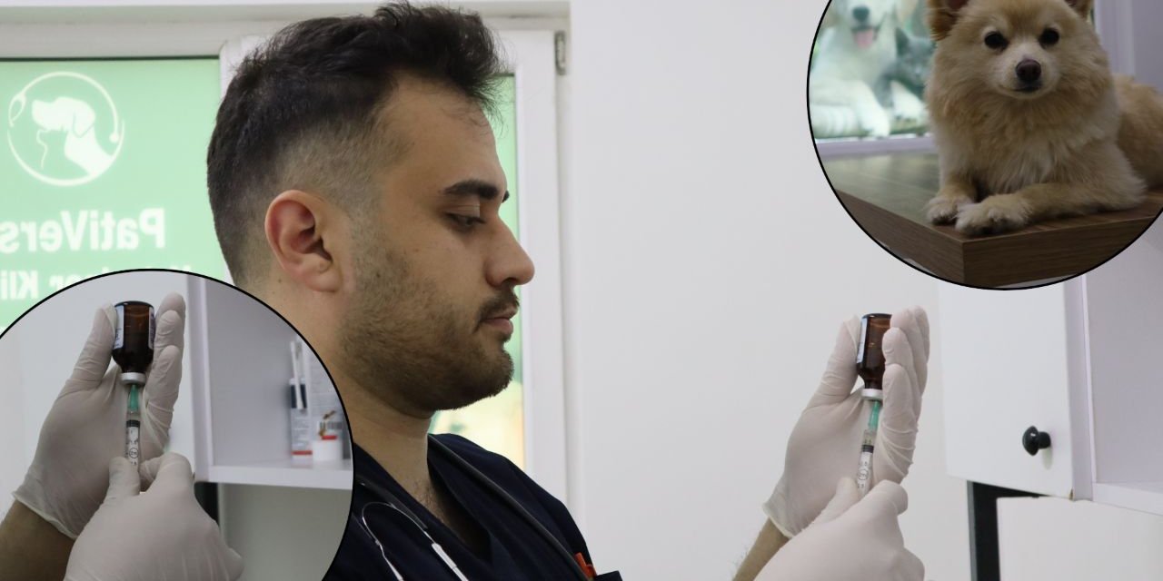 "İnsanlara da bulaşıyor" diyerek uyardı: Özellikle yaz mevsiminde dikkat edilmeli!
