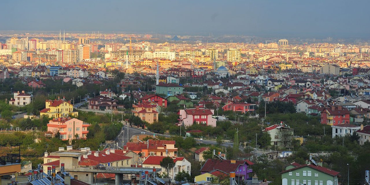 Konya'nın merkezinde yılanlar yuva yapmaya başladı. Vatandaşlar tedirgin